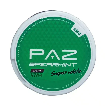 PAZ Spearmint 4MG - Cigarette Electronique Casablanca Maroc